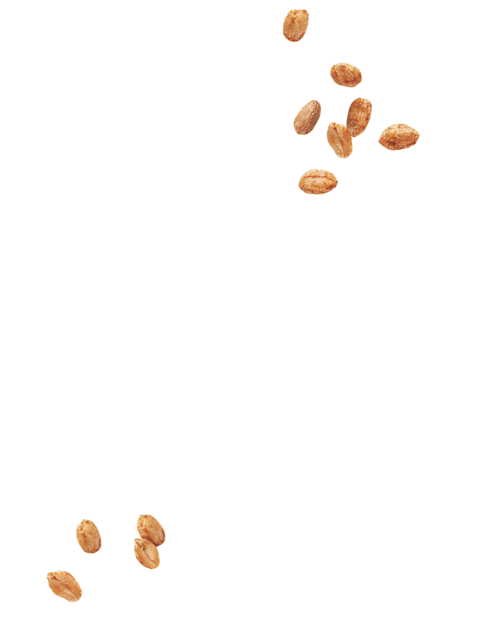 cacahuètes grillées à sec